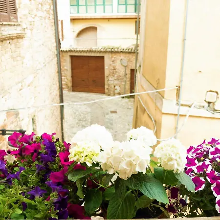 Domus Flora *