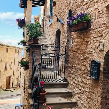 Domus Flora