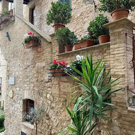 Dom wakacyjny Domus Flora