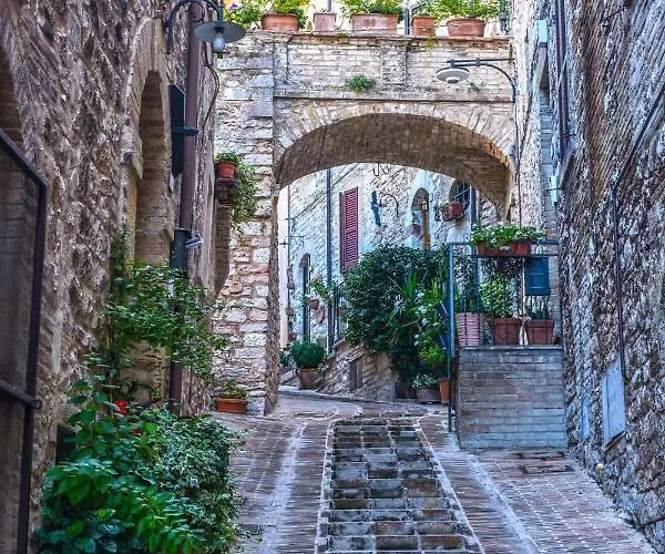 Holiday home Domus Flora Spello