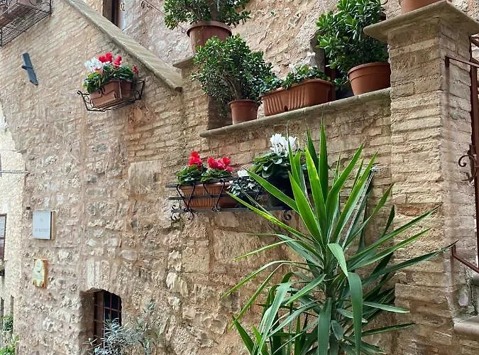 بيت للعطل Domus Flora